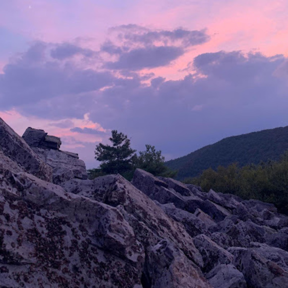 Meet your Posher, Arianna - Picture 1 of 1